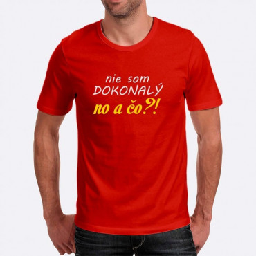 Pánské humorné tričko s výšivkou: nejsem DOKONALÝ no a co ?!