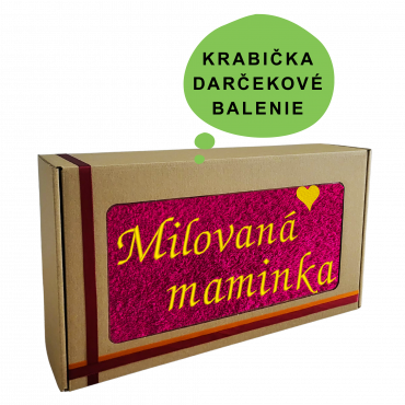 Dárkové balení - krabice