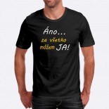 Pánské humorné tričko s výšivkou: Ano ... Za všechno můžu JA!