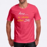 Pánské humorné tričko s výšivkou: Ano ... Za všechno můžu JA!